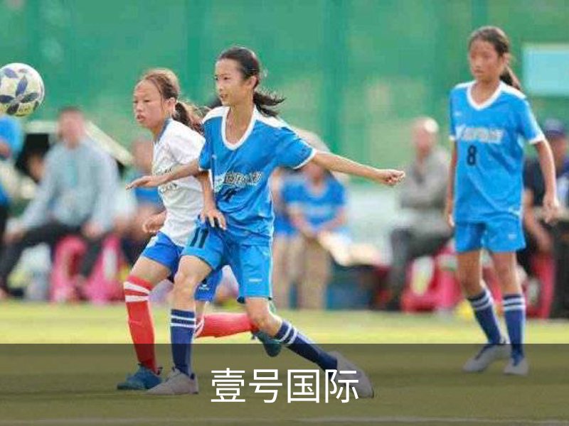 壹号国际概况